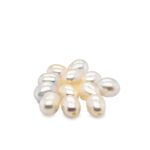 Freshwater pearl beads