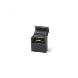 Flatline Box mini 30 x 15 x 32 mm innovativ minimalistisk smyckeskrin för ring svart